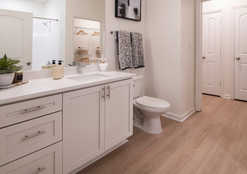 Bathroom with toilet and vanity