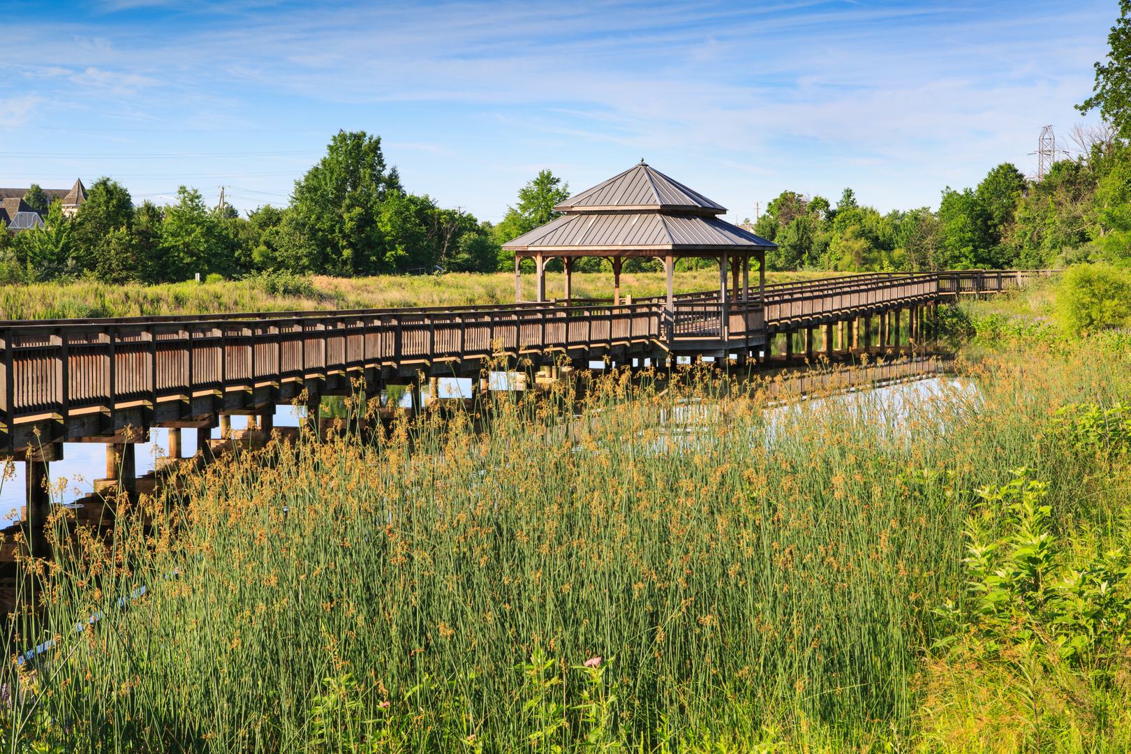 Greenary