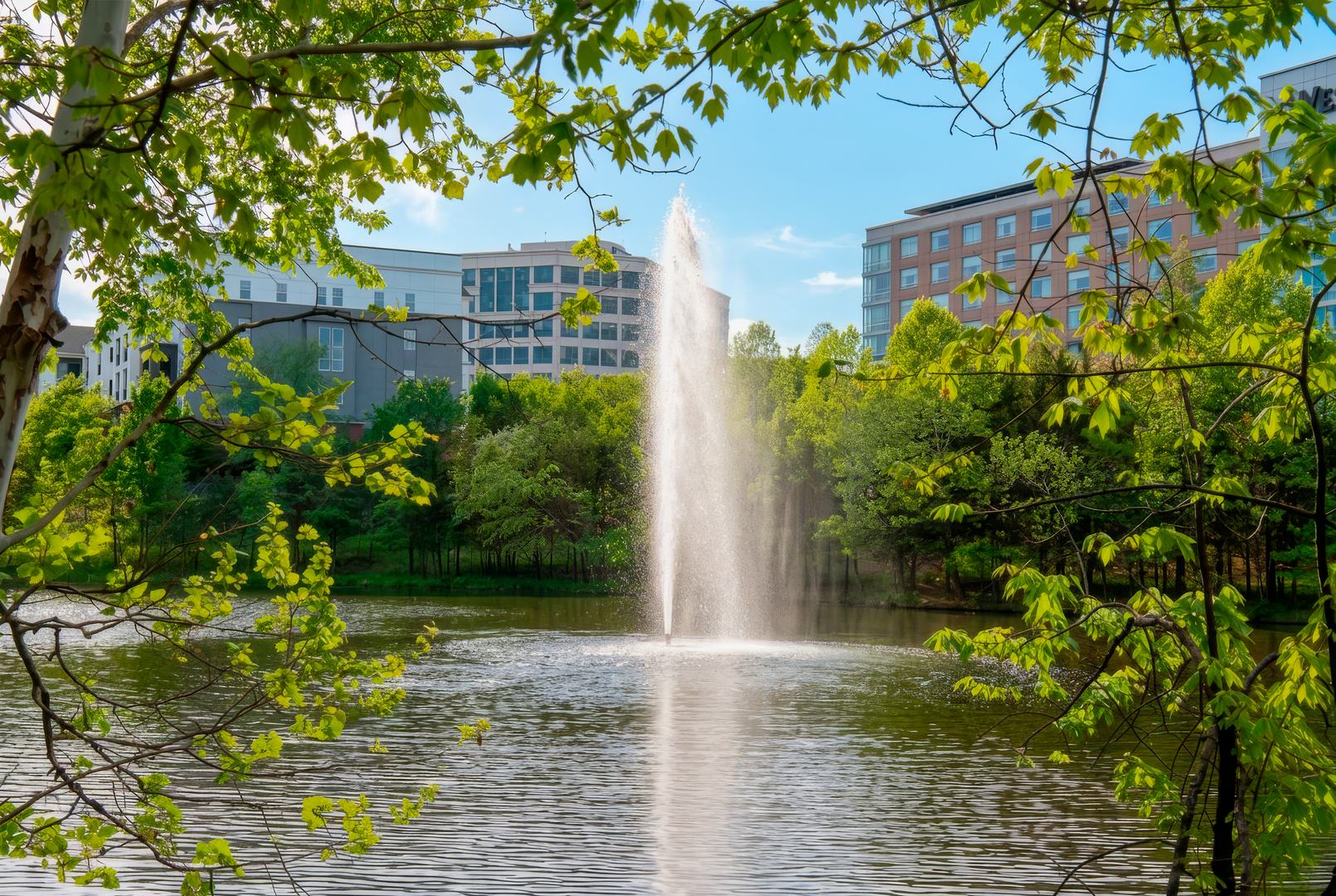 Peaceful lake and surrounding parks